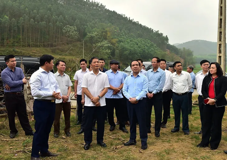 Phát triển kinh tế lâm nghiệp bền vững - Ảnh 1. Phát triển kinh tế lâm nghiệp bền vững - Ảnh 1.