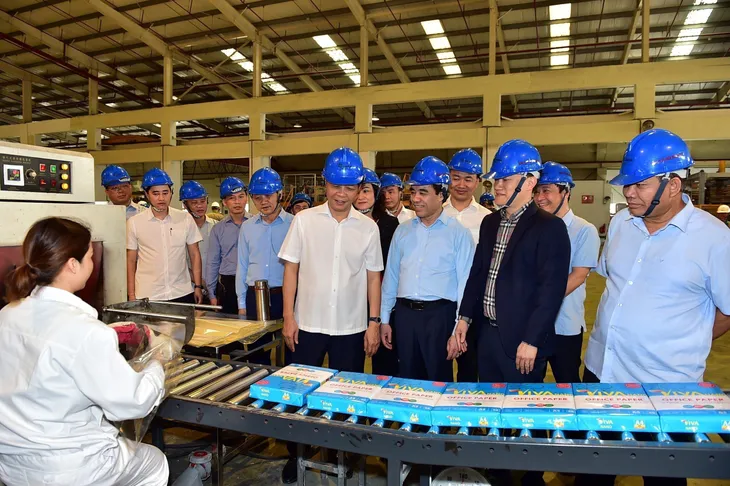 Phát triển kinh tế lâm nghiệp bền vững - Ảnh 3. Phát triển kinh tế lâm nghiệp bền vững - Ảnh 3.