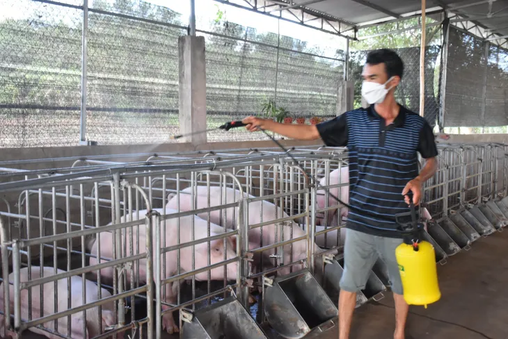 Đưa cơ sở chăn nuôi ra khỏi khu dân cư: Cuộc đại di dời của ngành nông nghiệp - Ảnh 1. Đưa cơ sở chăn nuôi ra khỏi khu dân cư: Cuộc đại di dời của ngành nông nghiệp - Ảnh 1.