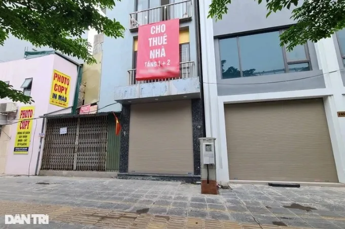 Cho thuê nhà thu về dưới 100 triệu đồng/năm có phải đóng thuế không? - Ảnh 1. Cho thuê nhà thu về dưới 100 triệu đồng/năm có phải đóng thuế không? - Ảnh 1.
