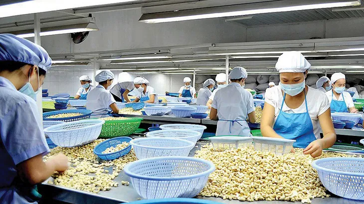 Doanh nghiệp nỗ lực khai thác thị trường mới - Ảnh 1. Doanh nghiệp nỗ lực khai thác thị trường mới - Ảnh 1.