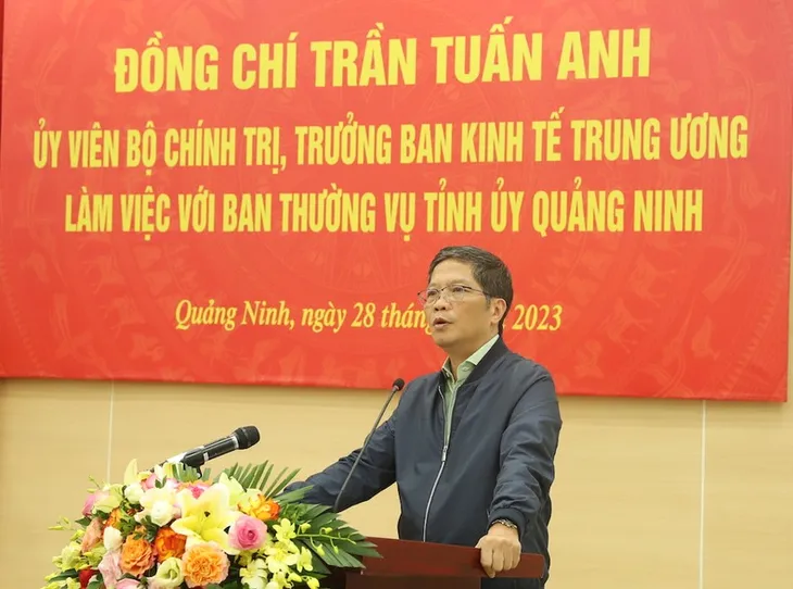 Đẩy mạnh phát triển kinh tế lâm nghiệp và phát triển rừng bền vững - Ảnh 1. Đẩy mạnh phát triển kinh tế lâm nghiệp và phát triển rừng bền vững - Ảnh 1.
