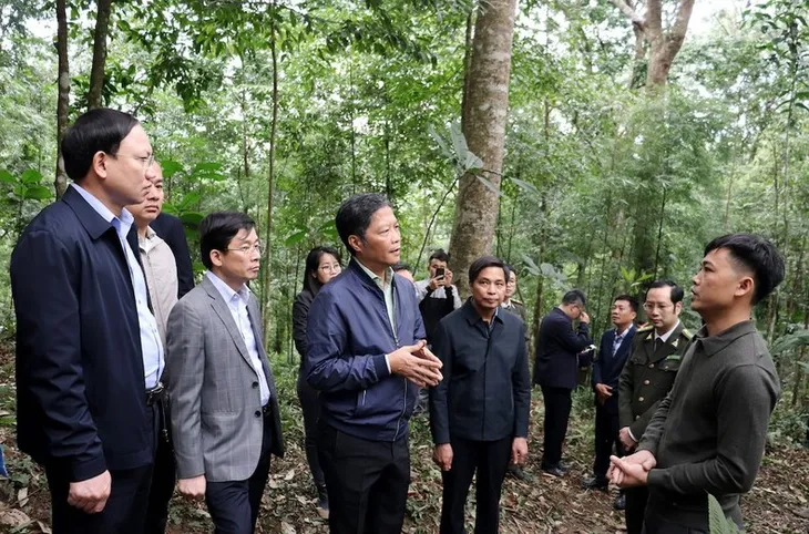 Đẩy mạnh phát triển kinh tế lâm nghiệp và phát triển rừng bền vững - Ảnh 2. Đẩy mạnh phát triển kinh tế lâm nghiệp và phát triển rừng bền vững - Ảnh 2.