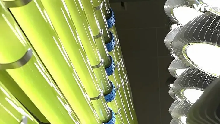 Biến CO2 thành nguồn tài nguyên hữu ích tại Nhật Bản - Ảnh 2. Biến CO2 thành nguồn tài nguyên hữu ích tại Nhật Bản - Ảnh 2.