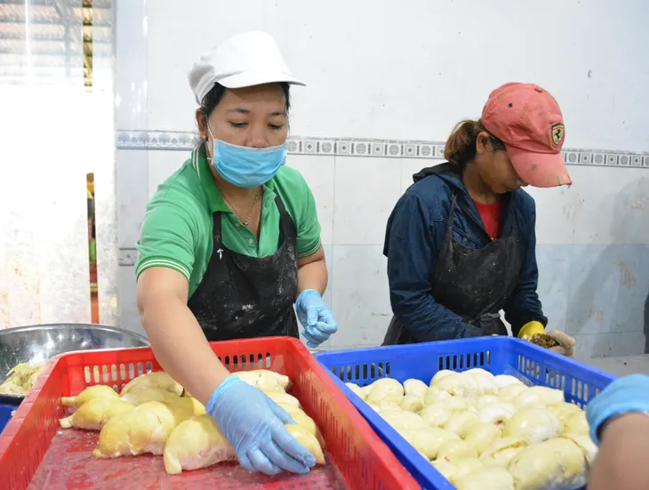Xuất khẩu rau củ hướng đến 4 tỷ USD - Ảnh 1. Xuất khẩu rau củ hướng đến 4 tỷ USD - Ảnh 1.