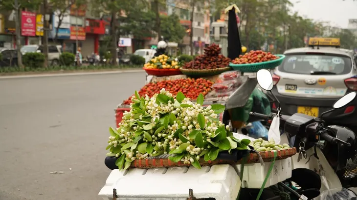 Duyên dáng hoa bưởi về trên phố phường Hà Nội - Ảnh 2. Duyên dáng hoa bưởi về trên phố phường Hà Nội - Ảnh 2.
