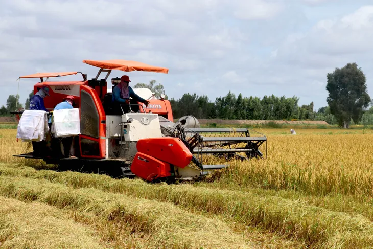 Ngân hàng Thế giới cam kết tham gia Đề án 1 triệu ha lúa chất lượng cao - Ảnh 1. Ngân hàng Thế giới cam kết tham gia Đề án 1 triệu ha lúa chất lượng cao - Ảnh 1.