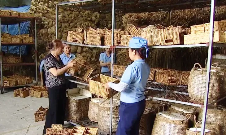 Tạo việc làm cho người cao tuổi để lấp đầy khoảng trống thu nhập - Ảnh 2. Tạo việc làm cho người cao tuổi để lấp đầy khoảng trống thu nhập - Ảnh 2.