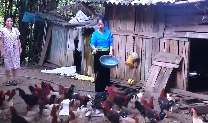 Tạo việc làm cho người cao tuổi để lấp đầy khoảng trống thu nhập - Ảnh 1. Tạo việc làm cho người cao tuổi để lấp đầy khoảng trống thu nhập - Ảnh 1.