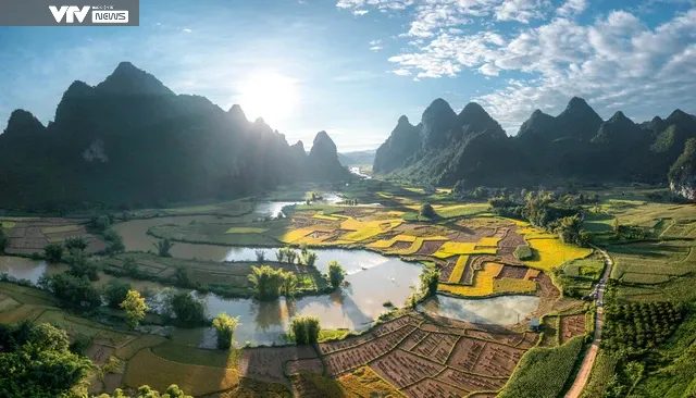 Ngỡ ngàng vẻ đẹp mùa lúa chín tại Trùng Khánh, Cao Bằng - Ảnh 1. Ngỡ ngàng vẻ đẹp mùa lúa chín tại Trùng Khánh, Cao Bằng - Ảnh 1.