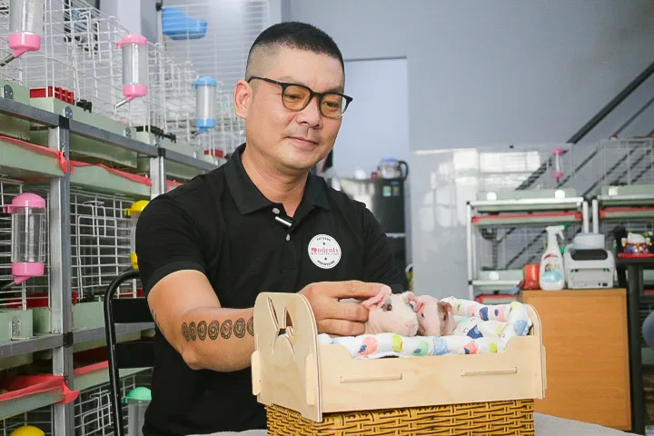 Giới trẻ chi tiền triệu để nuôi hà mã mini làm thú cưng - Ảnh 8. Giới trẻ chi tiền triệu để nuôi hà mã mini làm thú cưng - Ảnh 8.