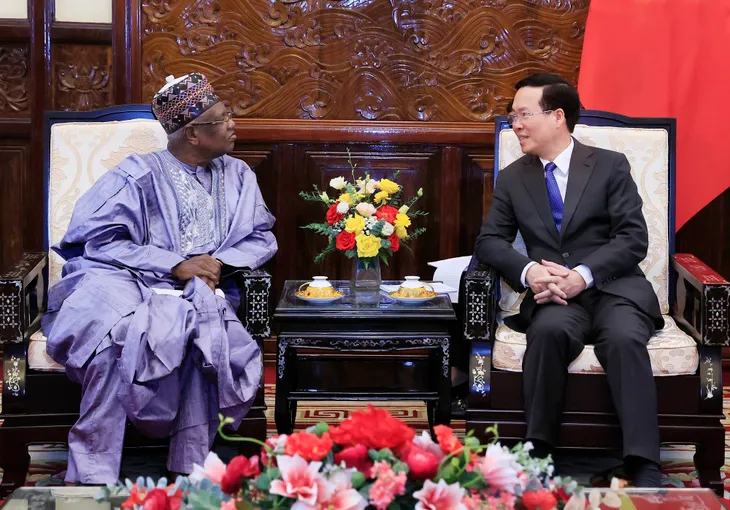 Chủ tịch nước tiếp Đại sứ Nigeria - Ảnh 1. Chủ tịch nước tiếp Đại sứ Nigeria - Ảnh 1.