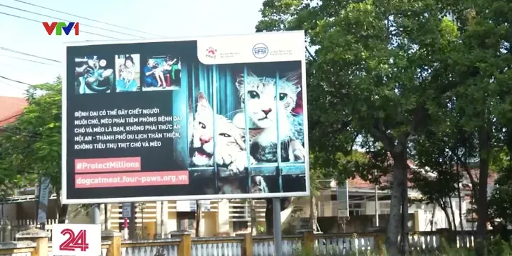 Người trẻ và nỗ lực hướng tới mục tiêu nói không với thịt chó, mèo - Ảnh 1. Người trẻ và nỗ lực hướng tới mục tiêu nói không với thịt chó, mèo - Ảnh 1.