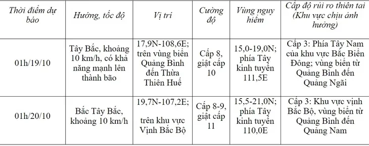 Áp thấp nhiệt đới giật cấp 9 cách quần đảo Hoàng Sa khoảng 200km - Ảnh 1.