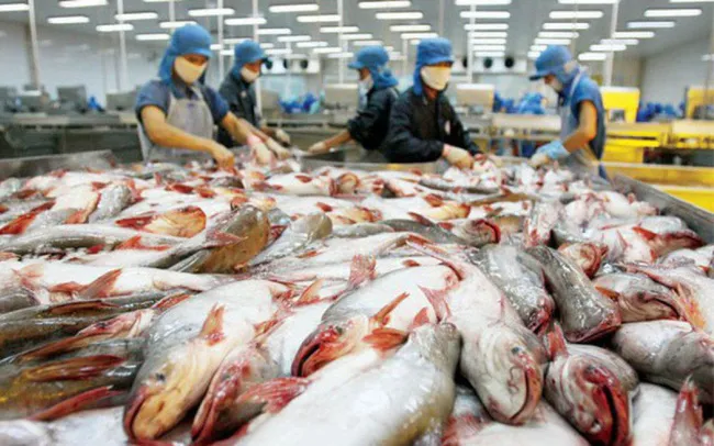 Xuất khẩu thủy sản năm 2023 có thể mang về hơn 9 tỷ USD - Ảnh 1. Xuất khẩu thủy sản năm 2023 có thể mang về hơn 9 tỷ USD - Ảnh 1.