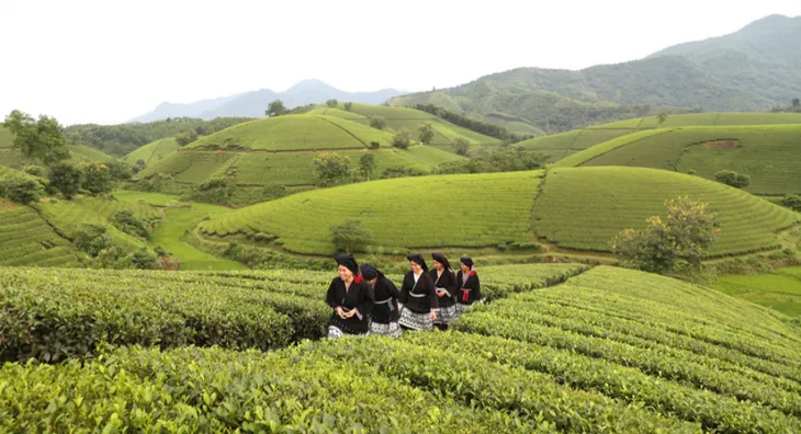 Phú Thọ giảm giá các dịch vụ du lịch để thu hút khách dịp cuối năm - Ảnh 1. Phú Thọ giảm giá các dịch vụ du lịch để thu hút khách dịp cuối năm - Ảnh 1.