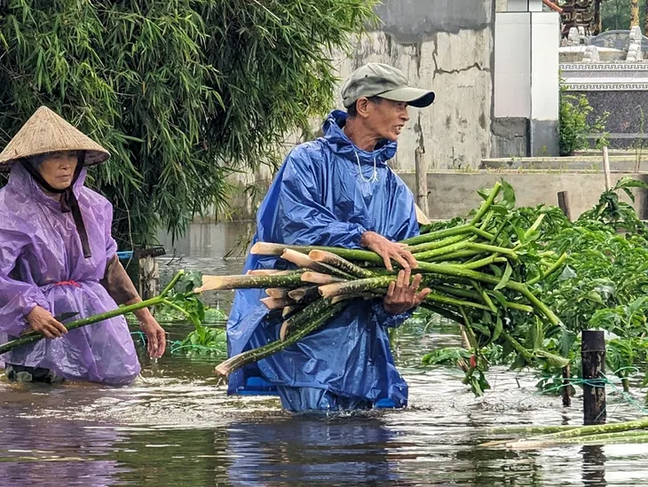 Thừa Thiên Huế cảnh báo lũ lớn trên các sông - Ảnh 2. Thừa Thiên Huế cảnh báo lũ lớn trên các sông - Ảnh 2.