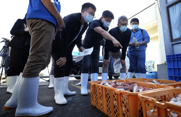 IAEA lấy mẫu nước biển và cá ở Fukushima - Ảnh 2.