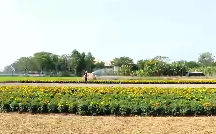 Những người phụ nữ làm giàu đẹp quê hương - Ảnh 1. Những người phụ nữ làm giàu đẹp quê hương - Ảnh 1.