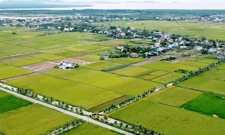 Vì sao khó ngăn chặn nạn tận diệt chim trời? - Ảnh 1.