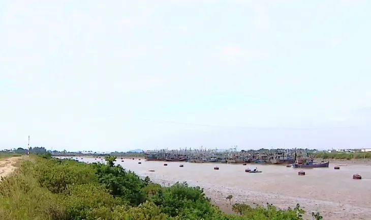 Không khí lạnh gây biển động - Ảnh 1. Không khí lạnh gây biển động - Ảnh 1.