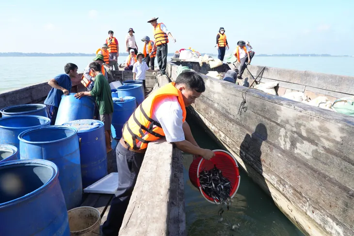 Tây Ninh: Gần 250.000 tôm, cá giống được thả để bảo vệ nguồn lợi thủy sản hồ Dầu Tiếng - Ảnh 1. Tây Ninh: Gần 250.000 tôm, cá giống được thả để bảo vệ nguồn lợi thủy sản hồ Dầu Tiếng - Ảnh 1.