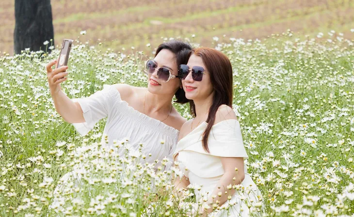 Hà Nội vào mùa cúc họa mi - Ảnh 1. Hà Nội vào mùa cúc họa mi - Ảnh 1.