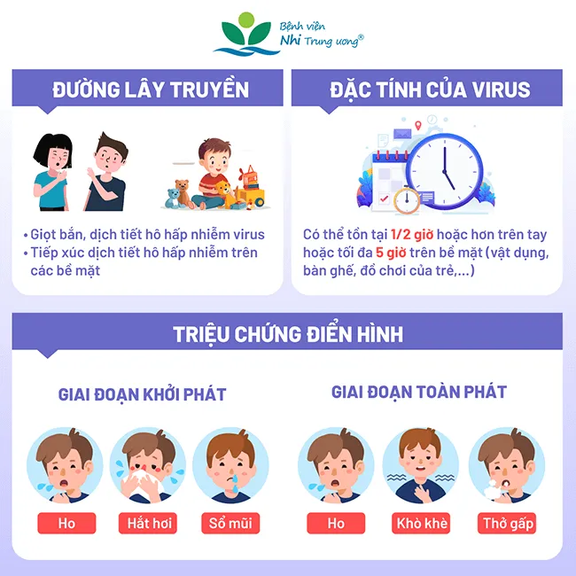 Nhiễm virus RSV ở trẻ: Lưu ý nhóm đối tượng dễ tiến triển nặng - Ảnh 2. Nhiễm virus RSV ở trẻ: Lưu ý nhóm đối tượng dễ tiến triển nặng - Ảnh 2.