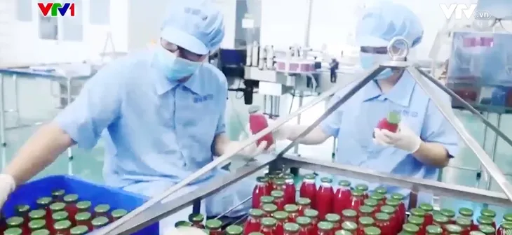 Xuất khẩu rau quả đạt kỷ lục gần 5 tỷ USD - Ảnh 2. Xuất khẩu rau quả đạt kỷ lục gần 5 tỷ USD - Ảnh 2.