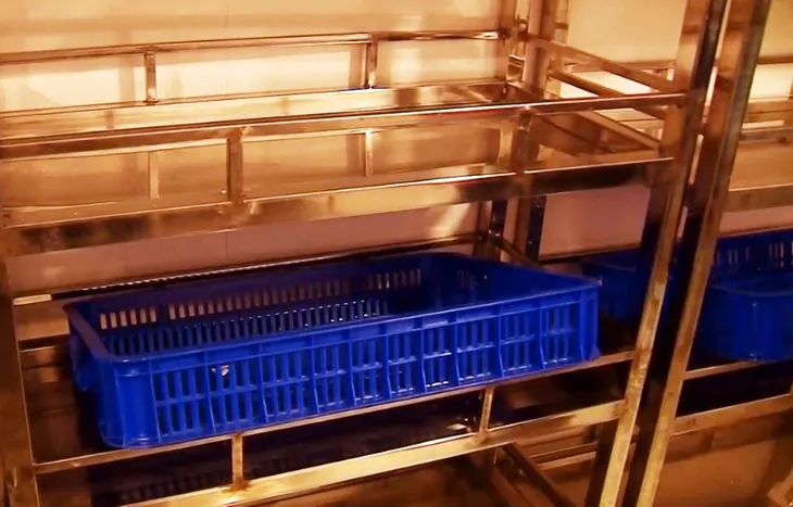Thiếu máu cấp cứu và điều trị tại ĐBSCL - Ảnh 1. Thiếu máu cấp cứu và điều trị tại ĐBSCL - Ảnh 1.