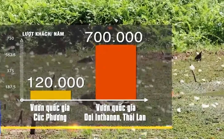 Du lịch sinh thái rừng chưa xứng tiềm năng - Ảnh 1. Du lịch sinh thái rừng chưa xứng tiềm năng - Ảnh 1.