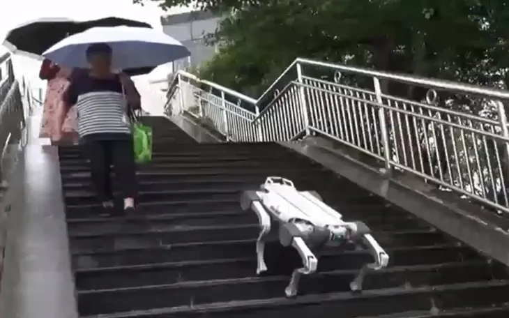 Đội quân robot phục vụ Á vận hội tại Hàng Châu, Trung Quốc - Ảnh 1. Đội quân robot phục vụ Á vận hội tại Hàng Châu, Trung Quốc - Ảnh 1.