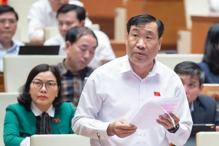 ĐBQH: Ngành điện phải bồi thường khi cắt điện gây thiệt hại cho doanh nghiệp - Ảnh 1. ĐBQH: Ngành điện phải bồi thường khi cắt điện gây thiệt hại cho doanh nghiệp - Ảnh 1.