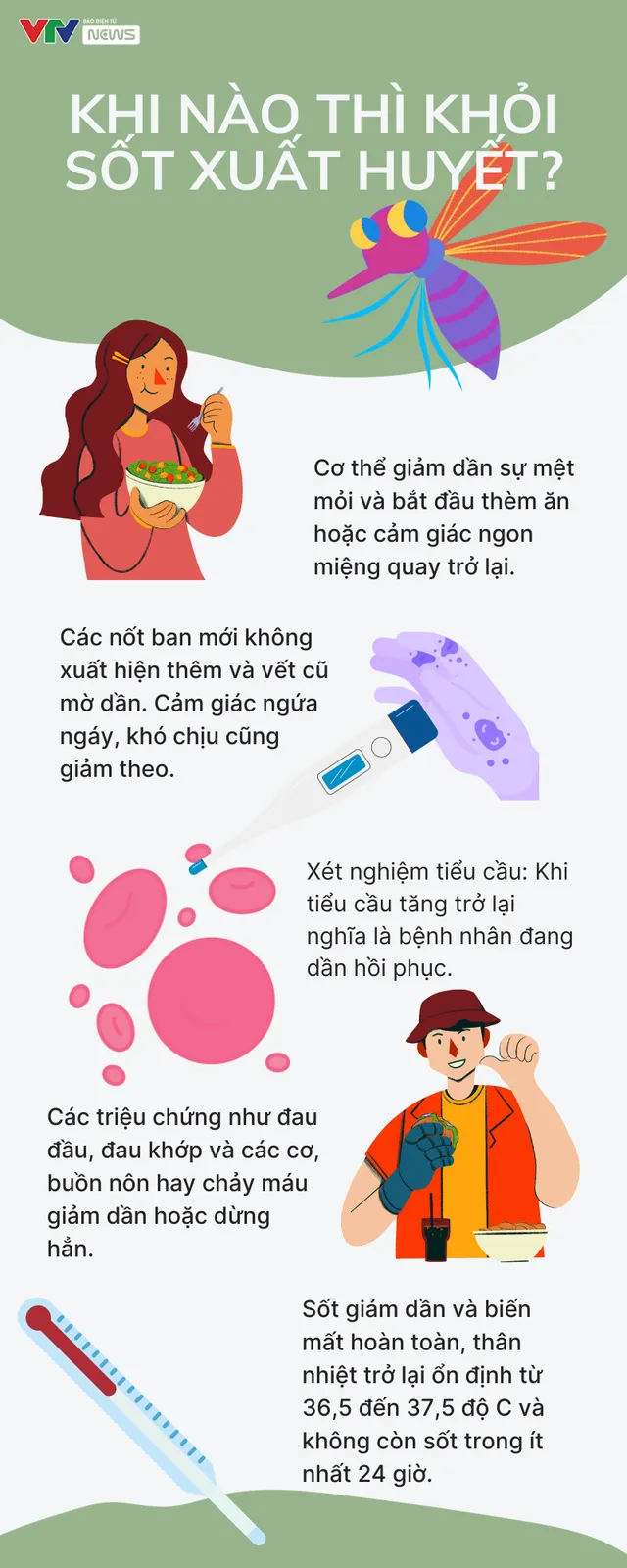 Khi nào thì biết đã khỏi sốt xuất huyết? - Ảnh 1. Khi nào thì biết đã khỏi sốt xuất huyết? - Ảnh 1.