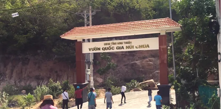 Bảo vệ hiệu quả, bền vững quần thể rùa biển ở Ninh Thuận - Ảnh 2. Bảo vệ hiệu quả, bền vững quần thể rùa biển ở Ninh Thuận - Ảnh 2.