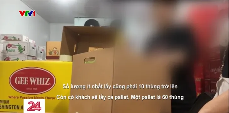 “Hô biến” lê Trung Quốc thành lê Hàn Quốc rao bán ngập chợ mạng - Ảnh 12. “Hô biến” lê Trung Quốc thành lê Hàn Quốc rao bán ngập chợ mạng - Ảnh 12.