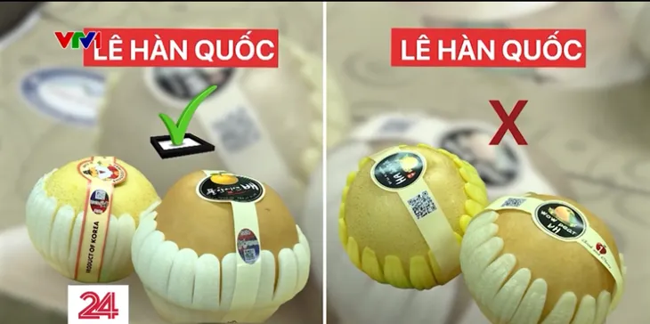 “Hô biến” lê Trung Quốc thành lê Hàn Quốc rao bán ngập chợ mạng - Ảnh 17. “Hô biến” lê Trung Quốc thành lê Hàn Quốc rao bán ngập chợ mạng - Ảnh 17.