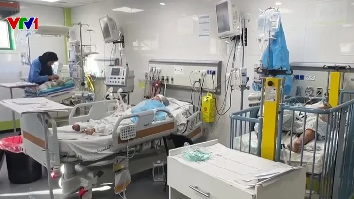 Lo ngại tình trạng dịch bệnh tại Dải Gaza - Ảnh 1. Lo ngại tình trạng dịch bệnh tại Dải Gaza - Ảnh 1.