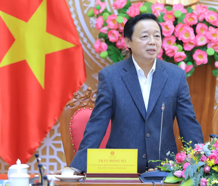 Lâm Đồng: Dự kiến khởi công cao tốc Tân Phú - Bảo Lộc vào quý I/2024 - Ảnh 5. Lâm Đồng: Dự kiến khởi công cao tốc Tân Phú - Bảo Lộc vào quý I/2024 - Ảnh 5.