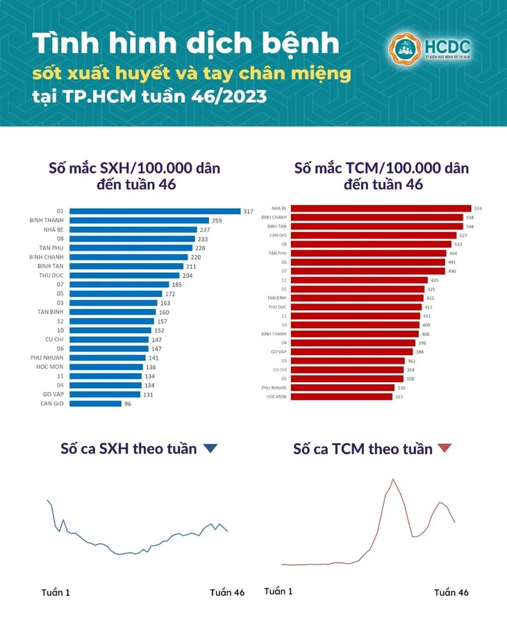 TP. Hồ Chí Minh: Ca mắc tay chân miệng, sốt xuất huyết đều giảm - Ảnh 1. TP. Hồ Chí Minh: Ca mắc tay chân miệng, sốt xuất huyết đều giảm - Ảnh 1.