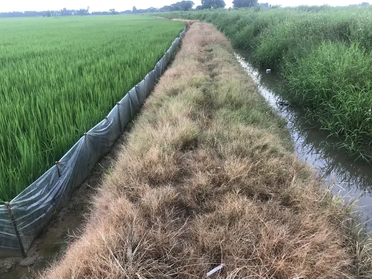 Mỗi chúng ta đều có bổn phận ngăn chặn kháng thuốc tại Việt Nam - Ảnh 2. Mỗi chúng ta đều có bổn phận ngăn chặn kháng thuốc tại Việt Nam - Ảnh 2.