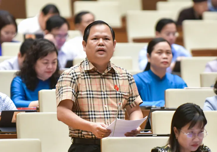 Đề nghị xử lý hình sự với người trúng đấu giá rồi bỏ cọc - Ảnh 2. Đề nghị xử lý hình sự với người trúng đấu giá rồi bỏ cọc - Ảnh 2.