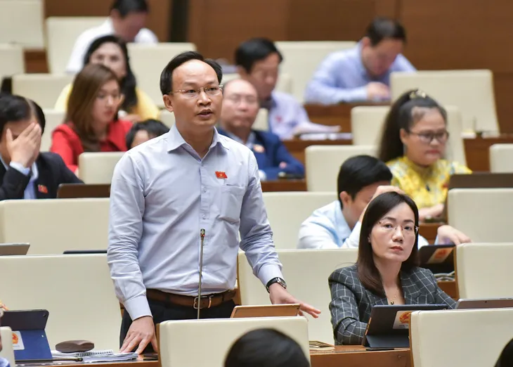 Đề nghị xử lý hình sự với người trúng đấu giá rồi bỏ cọc - Ảnh 3. Đề nghị xử lý hình sự với người trúng đấu giá rồi bỏ cọc - Ảnh 3.