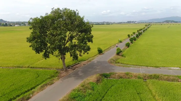 Bà Rịa - Vũng Tàu: Nông thôn mới chuyển mình mạnh mẽ - Ảnh 4. Bà Rịa - Vũng Tàu: Nông thôn mới chuyển mình mạnh mẽ - Ảnh 4.
