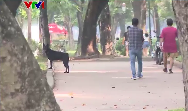 Điểm tuần: Nóng chuyện thang thoát hiểm kiểu đối phó tại các chung cư mini - Ảnh 5. Điểm tuần: Nóng chuyện thang thoát hiểm kiểu đối phó tại các chung cư mini - Ảnh 5.