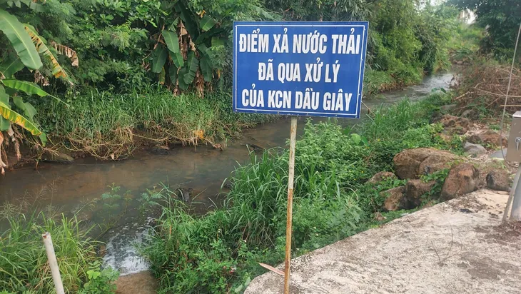 Đồng Nai: Cá chết nổi trắng suối nghi do xả thải từ khu công nghiệp - Ảnh 3. Đồng Nai: Cá chết nổi trắng suối nghi do xả thải từ khu công nghiệp - Ảnh 3.