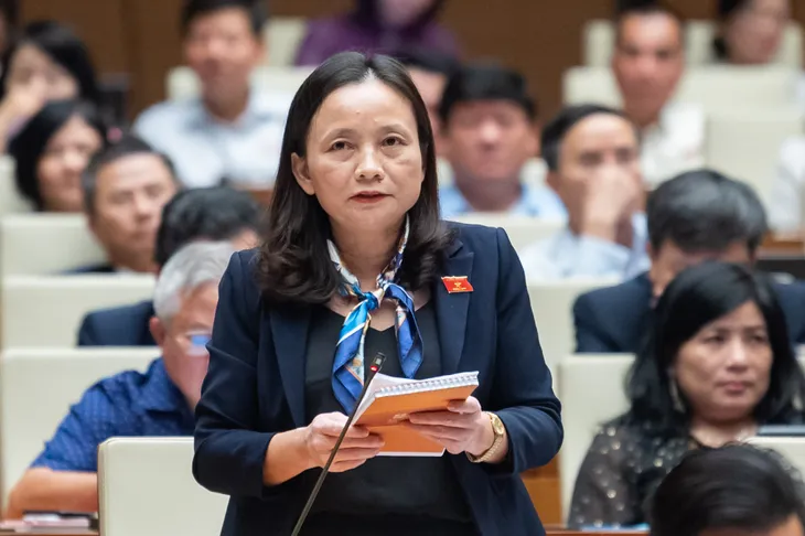 Thủ tướng: Việc phân cấp, phân quyền chưa được thực hiện nghiêm túc - Ảnh 3. Thủ tướng: Việc phân cấp, phân quyền chưa được thực hiện nghiêm túc - Ảnh 3.