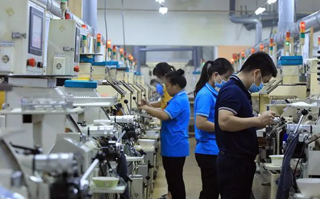 Doanh nghiệp đề xuất sửa đổi Nghị định 132 theo thực tế kinh doanh - Ảnh 2. Doanh nghiệp đề xuất sửa đổi Nghị định 132 theo thực tế kinh doanh - Ảnh 2.