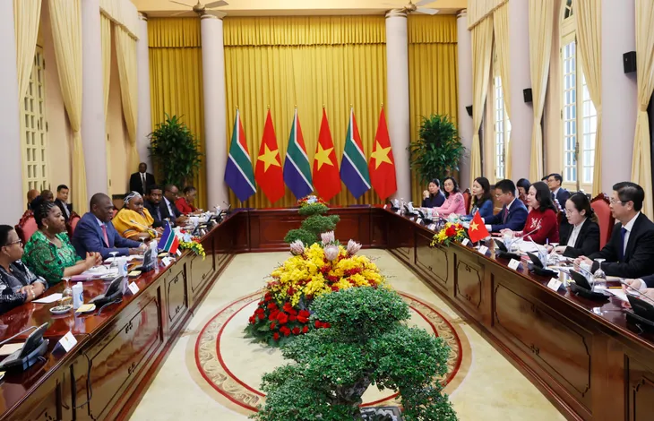 Phó Chủ tịch nước Võ Thị Ánh Xuân đón, hội đàm với Phó Tổng thống Nam Phi Paul Mashatile - Ảnh 1.