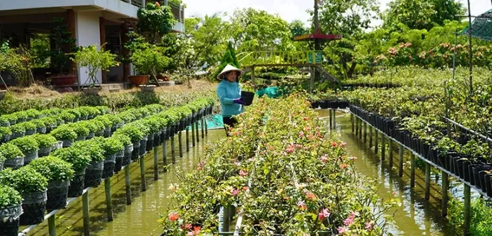Festival - Cơ hội tiêu thụ hoa kiểng - Ảnh 1. Festival - Cơ hội tiêu thụ hoa kiểng - Ảnh 1.